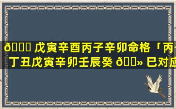 🐝 戊寅辛酉丙子辛卯命格「丙子丁丑戊寅辛卯壬辰癸 🌻 巳对应时间」